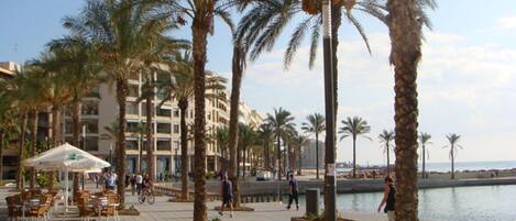 A promenade with palm trees, outdoor seating, and a waterfront view.