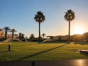 A grassy area with palm trees and a building in the background.
