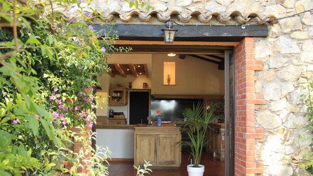 Une cuisine avec des meubles en bois, une plante en pot et un mur en pierre.