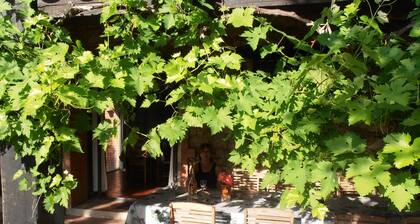 Villa traditionnelle provençale en pierre du pays située au milieu des vignes