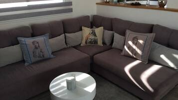 Een smart-tv, een open haard en een filmbibliotheek