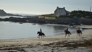 Un paisaje costero con una casa en la orilla rocosa, caballos en la playa y un faro a lo lejos.