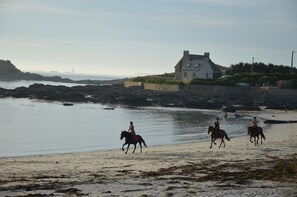 Plage à proximité, chaises longues