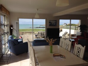 Télévision, cheminée, lecteur de DVD, livres