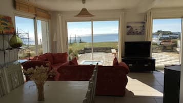 TV, fireplace, DVD player, books