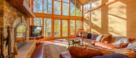 Televisión, chimenea, reproductor de DVD y tenis de mesa