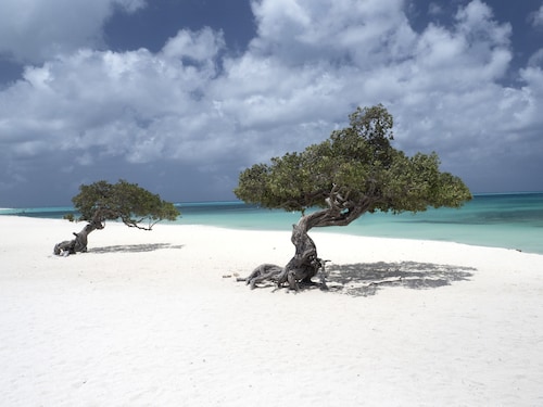 A prestige property on Eagle Beach




