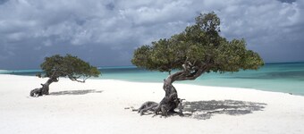 Questo splendido condominio ti sta aspettando