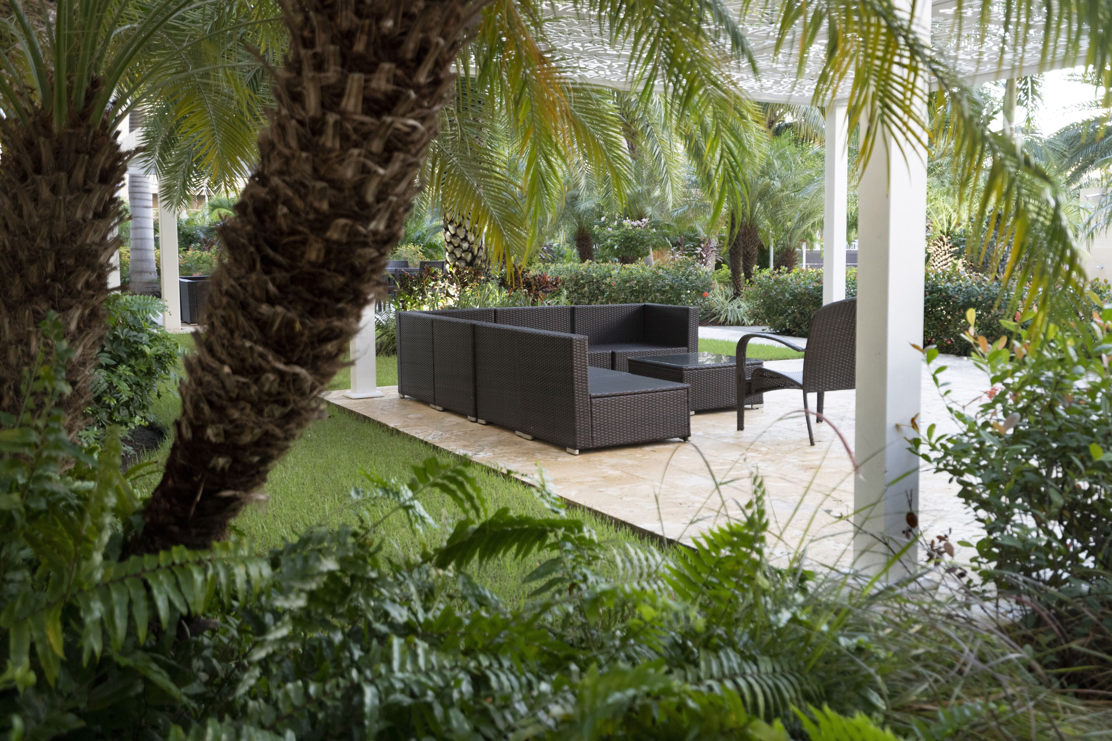 Un espace patio aménagé avec du mobilier d’extérieur, des palmiers et un jardin bien entretenu.