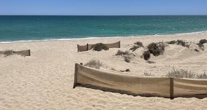 Beachfront Property! Nicest Beach In Penasco 6 Br, 4 Bath, 20ft Dome Ceilings