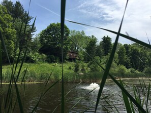 Property grounds - for the creative spirit, swimming dock on pond, horses to pet, Fire pit (Ulster Park)