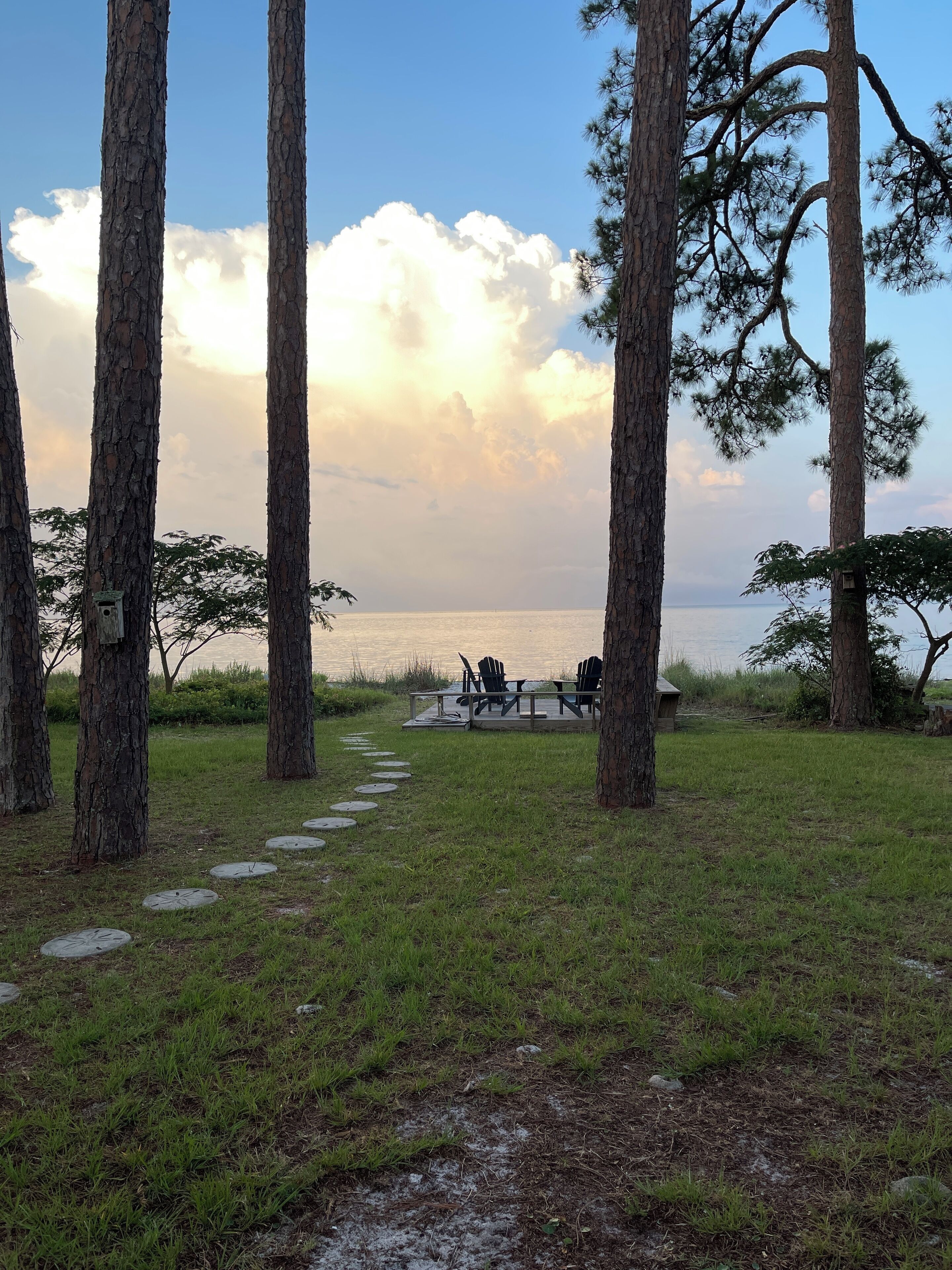 Une terrasse avec des chaises donnant sur une étendue d’eau, entourée de grands arbres.