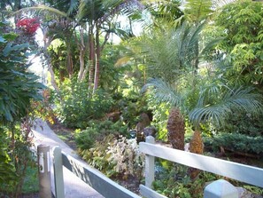 Property grounds - Stunning ocean views beach balcony 10 min to LEGOLAND CA King bed,pool and grill (Oceanside)