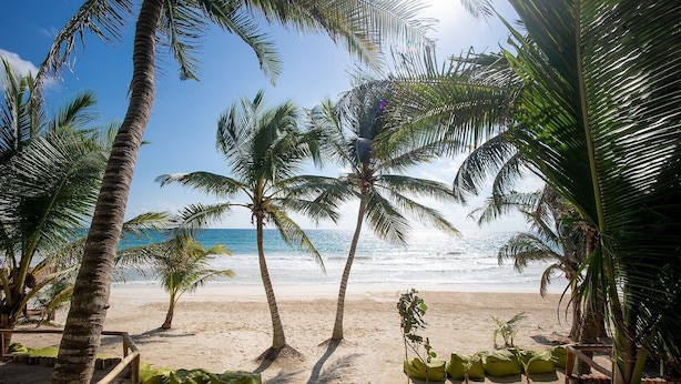 A beach with palm trees and a wooden walkway leading to the shore. - Zorba Villa 3, Stunning 3BR Villa with private rooftop patio! Sleeps 8. (Tulum)