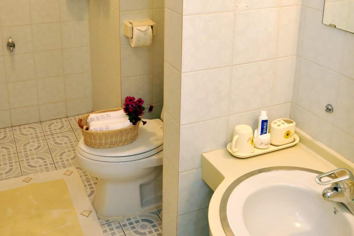 Separate bathtub and shower, free toiletries, hair dryer, towels