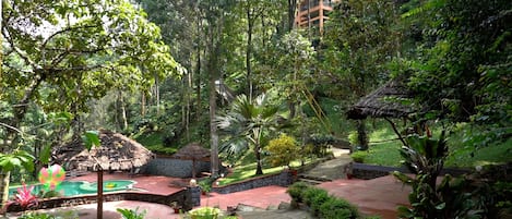 Jardin