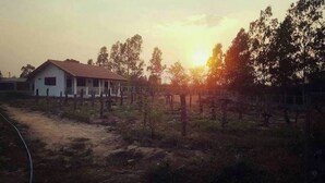 A rural setting with a single-story building, surrounded by trees and a dirt path. - Pings Farmstay (Somboon)