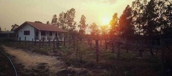 Pings Farmstay
