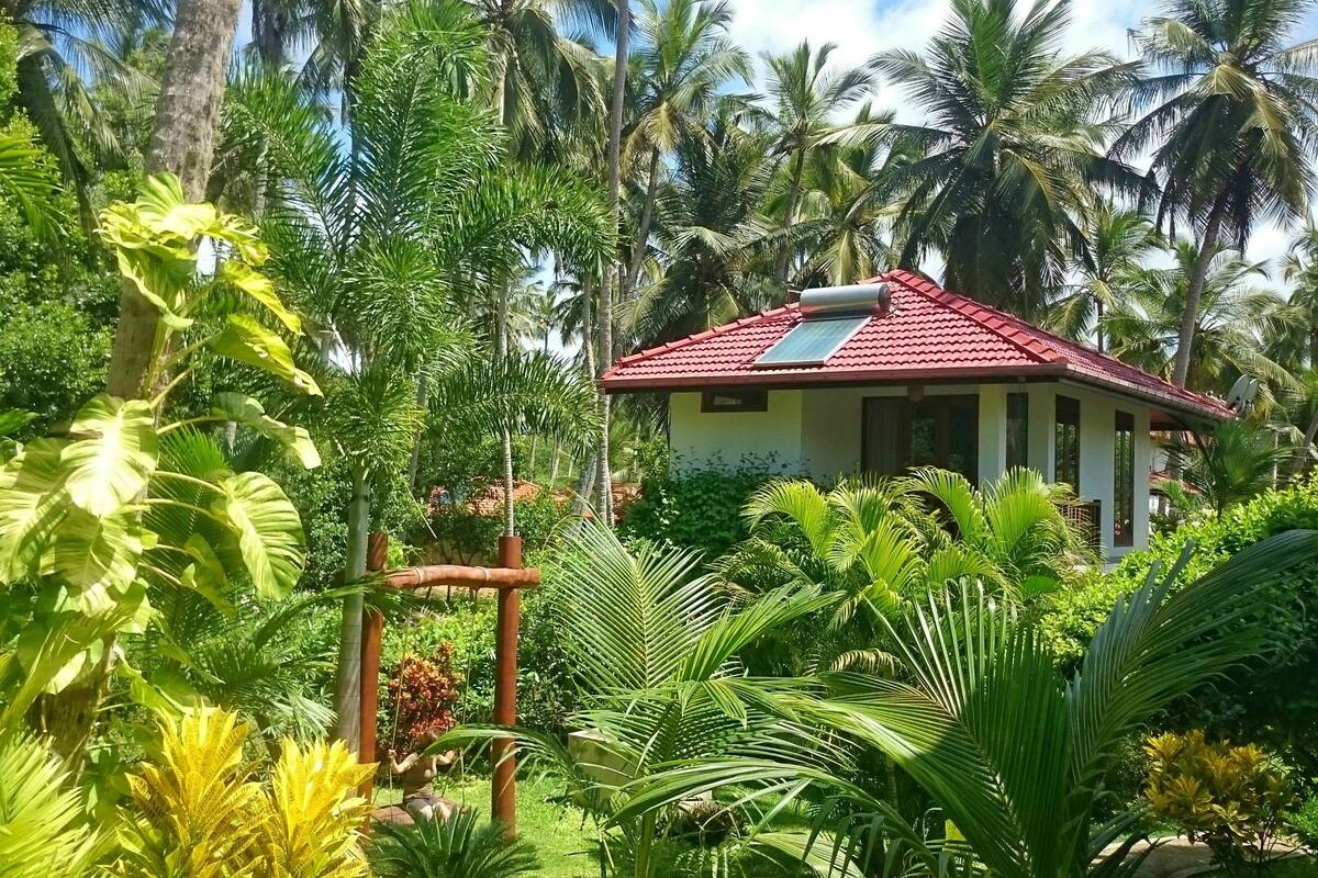 A house with a red roof, surrounded by lush tropical vegetation.