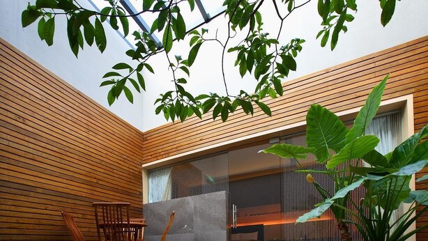 Een modern interieur met houten lambrisering, een eethoek met stoelen en een grote plant.