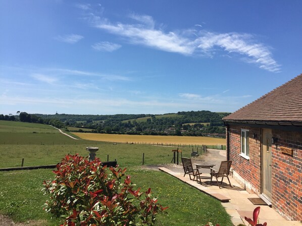 Cottage, 1 Bedroom (Monkey Puzzle) | Terrace/patio