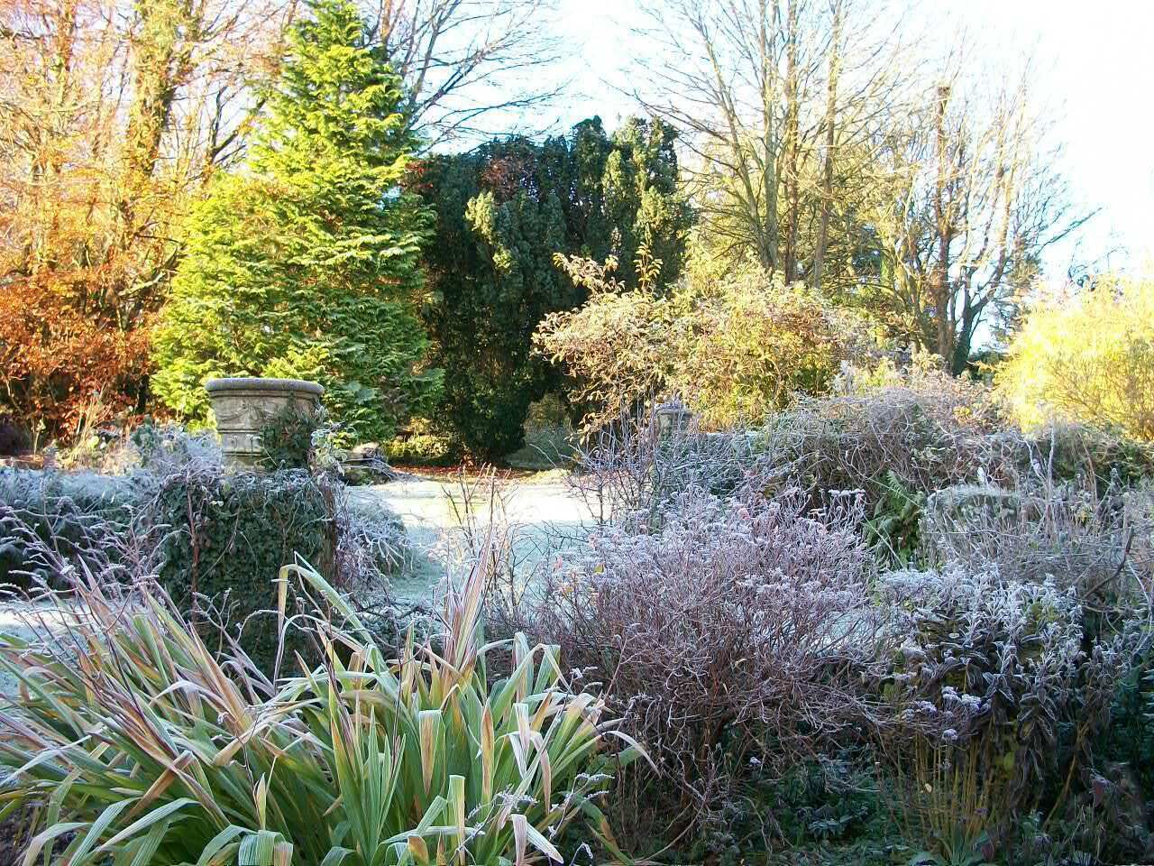 A garden with various plants and a stone structure.