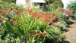 A garden with a variety of plants and flowers, a thatched-roof structure, and a white building with a window. - Middletown Farmhouse B&B (Okehampton)