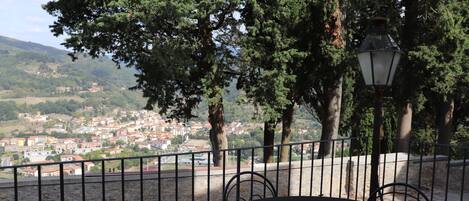 Vista desde la propiedad