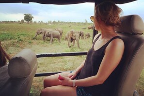 Safari - Malee Villa (Matara)