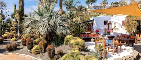 A desert garden with various cacti and a white building with outdoor seating.