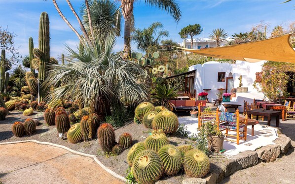 A desert garden with various cacti and a white building with outdoor seating. - Hotel Castiglione Village Ischia (Forio)