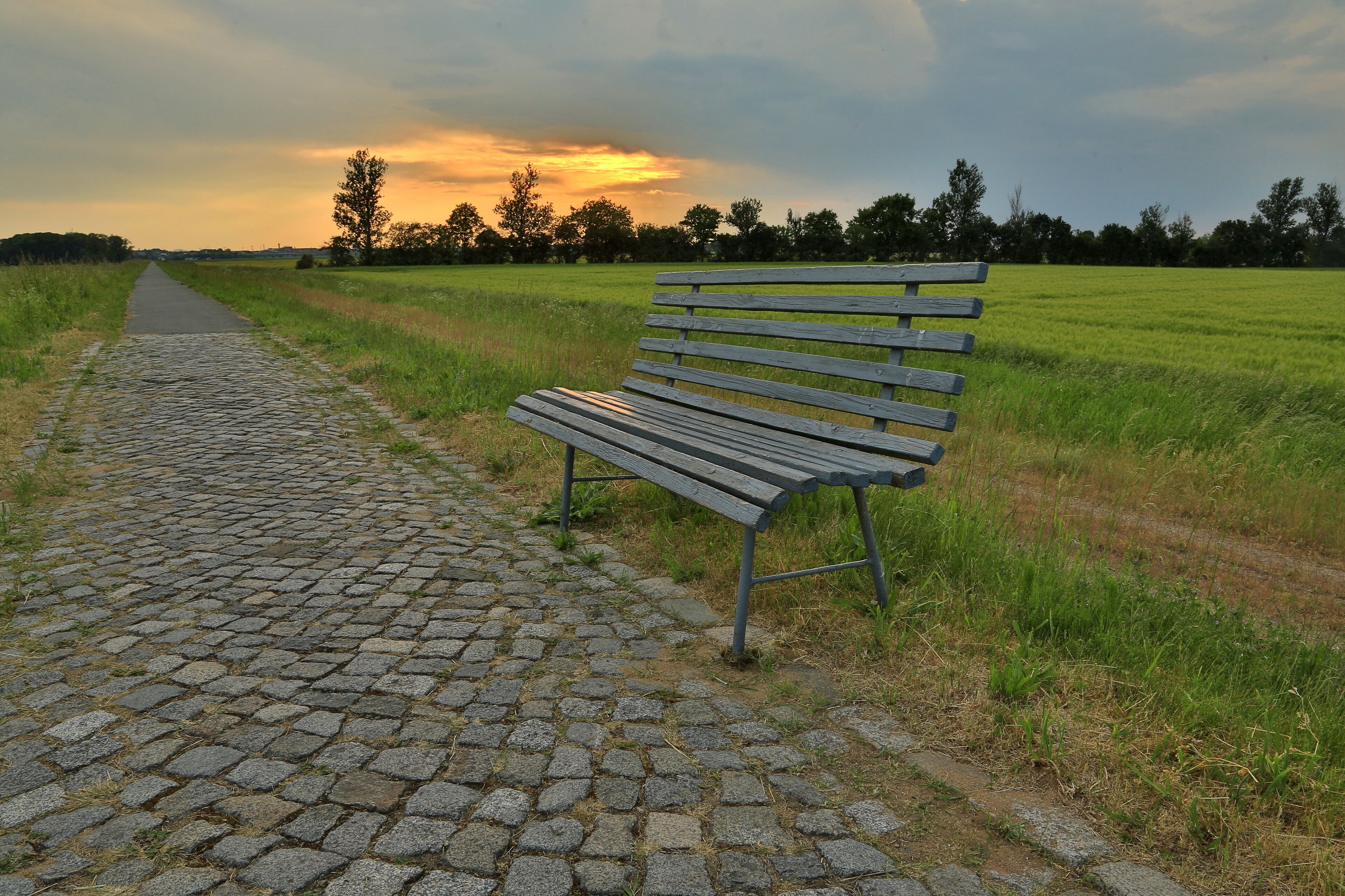 A bench on a cobblestone path in a field.