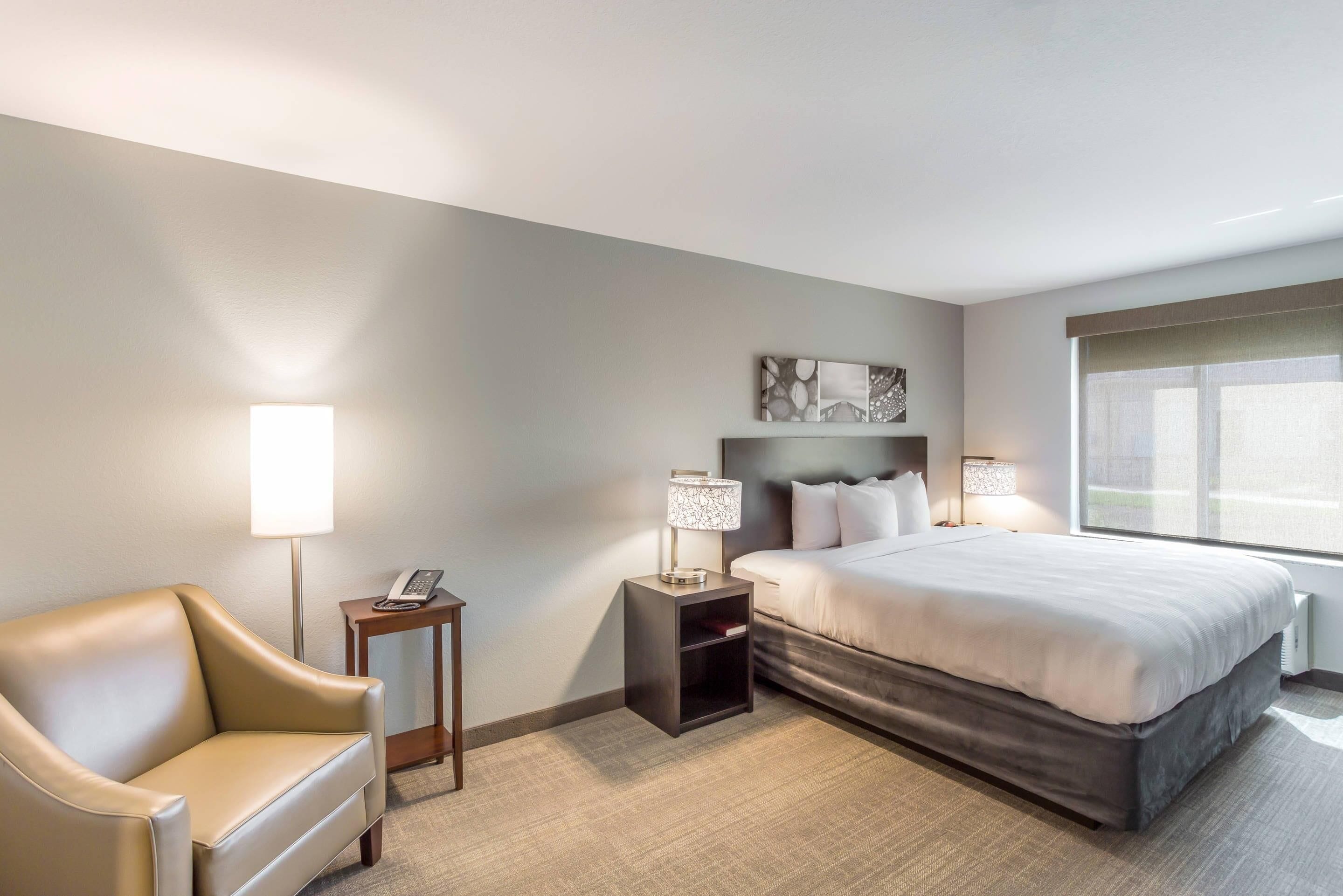 A hotel room with a bed, a sofa, a nightstand with a lamp, and a wall-mounted artwork.
