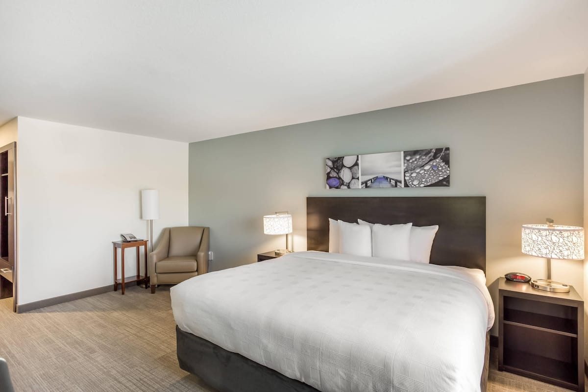 Phòng Suite, 1 giường cỡ king, không hút thuốc | Bộ đồ giường cao cấp, bàn, khu vực làm việc phù hợp cho laptop 