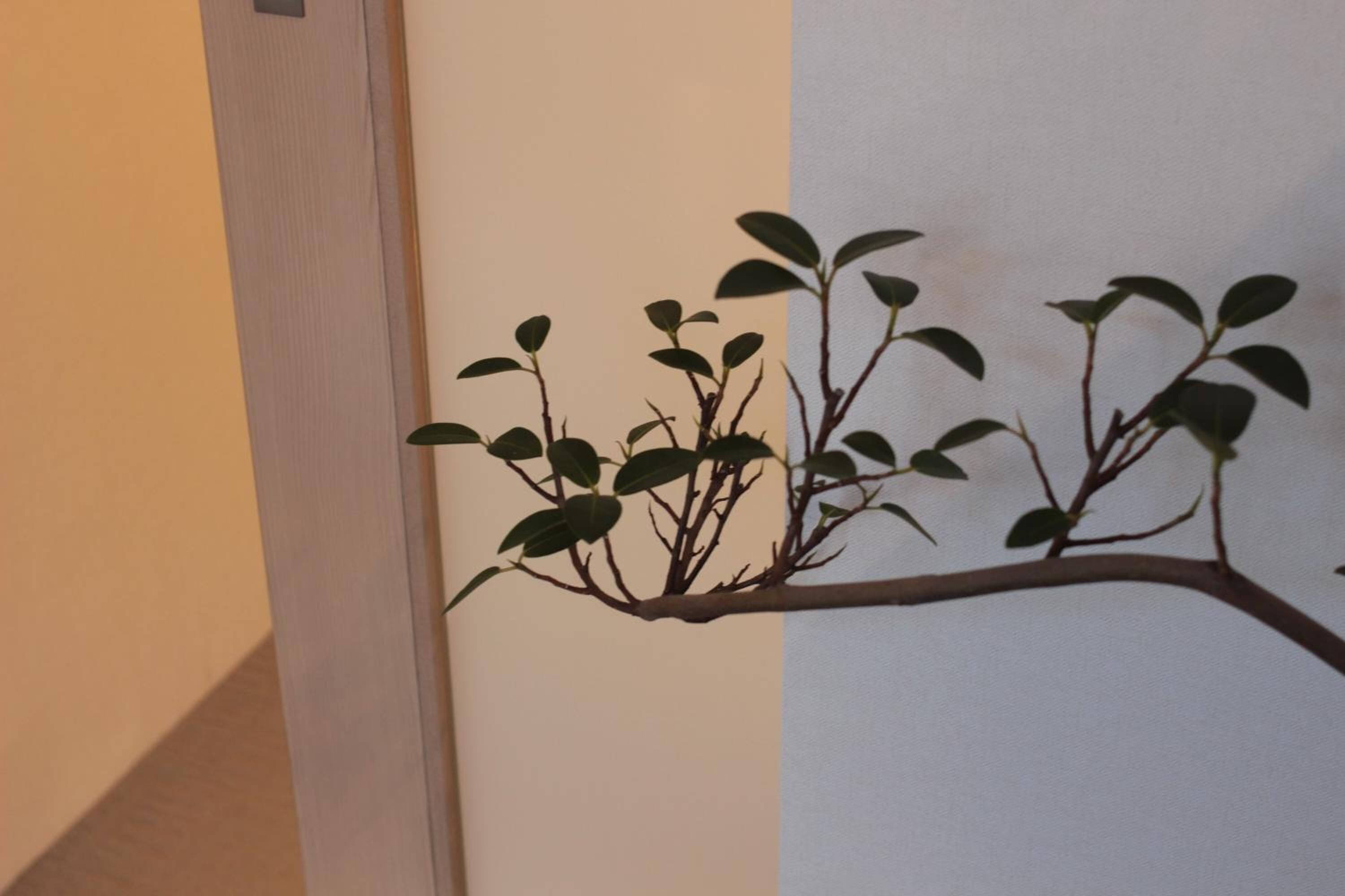 A wall-mounted branch with leaves, likely a decorative piece.