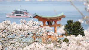 A traditional Japanese torii gate with a clear view of the water and a ferry in the background. - Guest House COCO Hiroshima - Hostel, Caters to Women (Hiroshima)