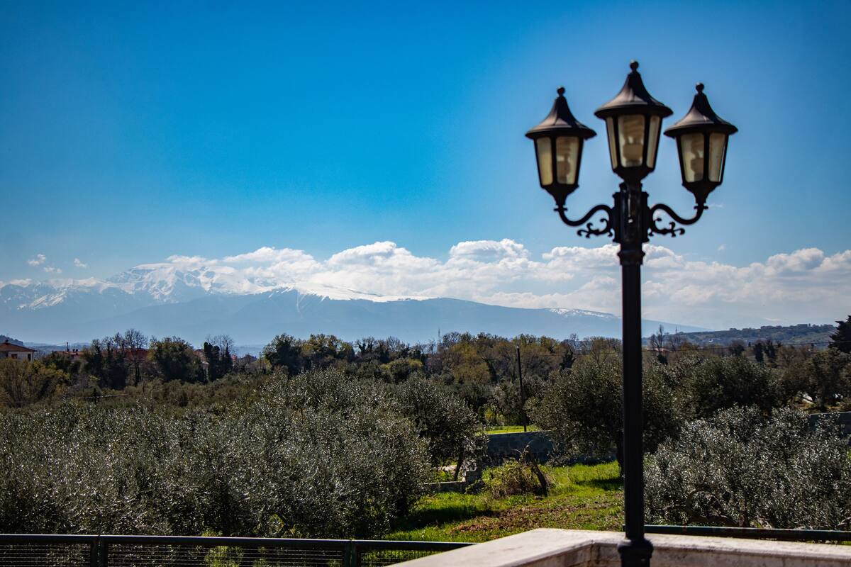 View from room