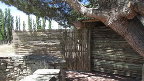 A stone wall, wooden fence, and a tree in a garden setting. - Rogge Cloof (Karoo Hoogland)