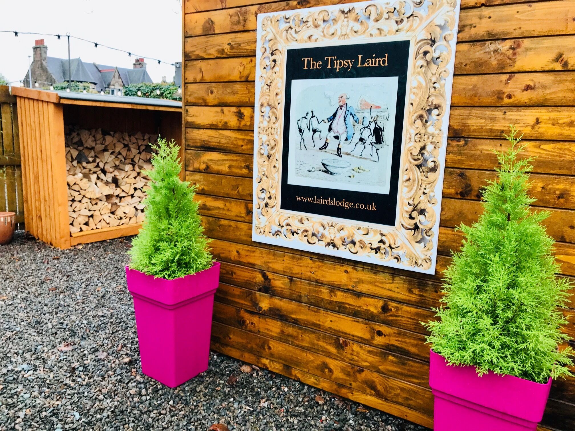 A wooden wall with a framed picture titled "The Tipsy Laird" and a website address. There are two potted plants in front.