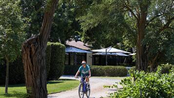 A person riding a bicycle on a gravel path in a lush, green area with trees and a building in the background.