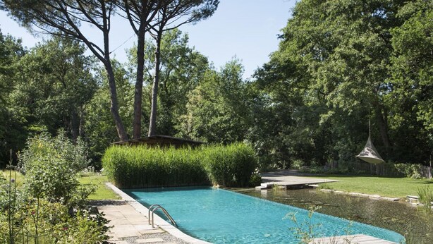 Une piscine entourée d’une végétation luxuriante et dotée d’une terrasse en bois.
