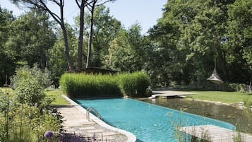 Seasonal outdoor pool, pool loungers