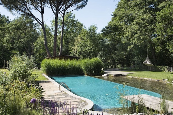 Seasonal outdoor pool, pool loungers