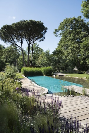 Seasonal outdoor pool, sun loungers