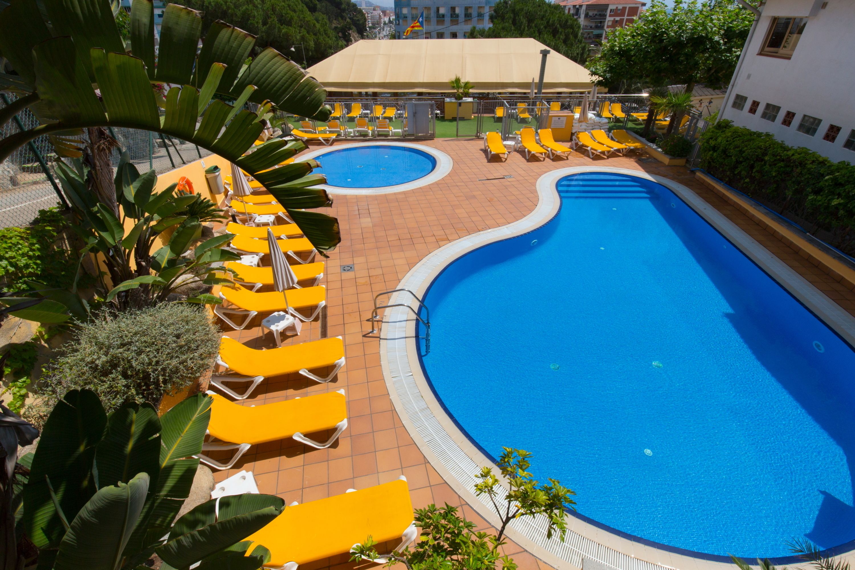 Alberca al aire libre, sombrillas en la alberca y camastros 