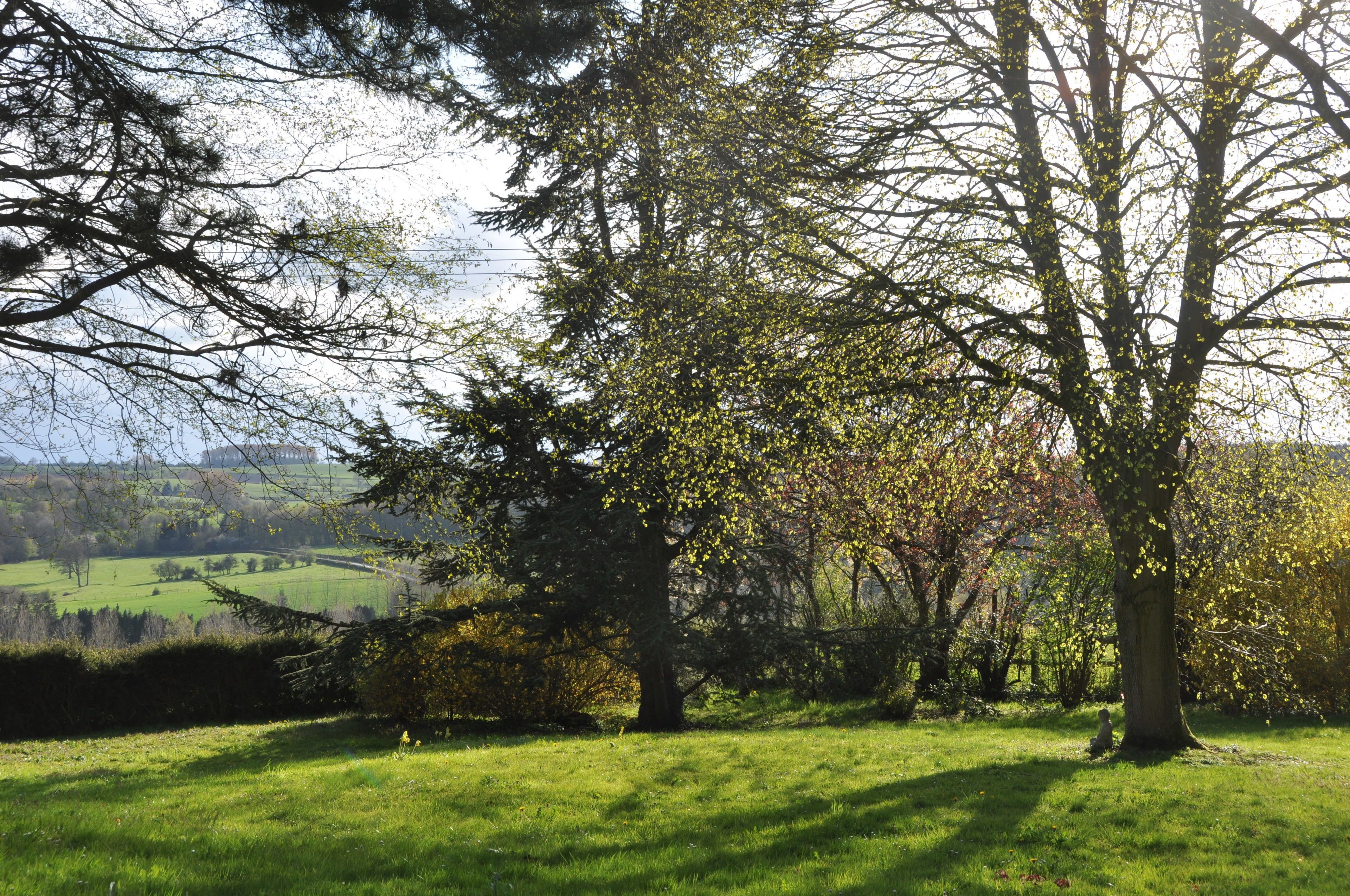 Ein grasbewachsenes Feld mit Bäumen und einer weiten Aussicht auf ein Tal.
