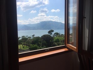 Vistas desde la habitación