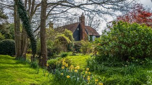 A traditional house surrounded by lush greenery and daffodils. - Stream House Luxury B&B (Hastings)