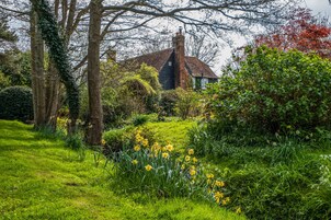 A traditional house surrounded by lush greenery and daffodils.