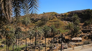 A rocky hillside with palm trees and a small building. - Eminence - Palm Residency (Abu Road)